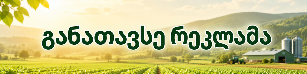 რეკლამა